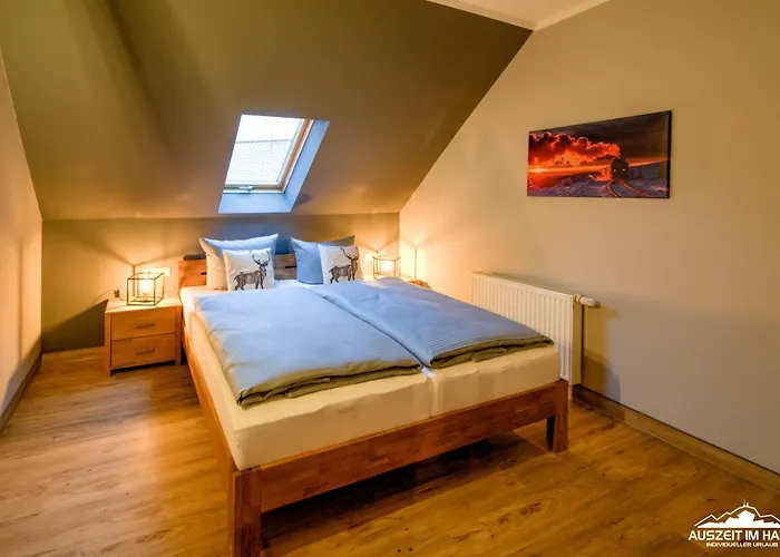 Auszeit-Im-Harz Haus 5 Wohnung 32